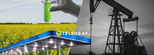 Горючее из рапса может частично заменить дизель