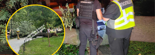 Падіння дерева у парку Шевченка