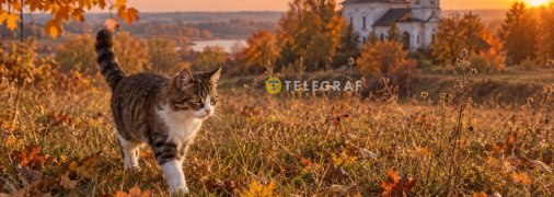 Церковна подія