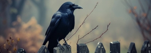 Містичний вісник (фото створене з допомогою ШІ)