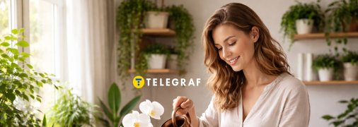 Орхідея — екзотична кімнатна рослина