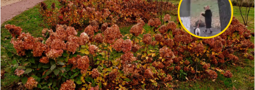 Осенний Киев