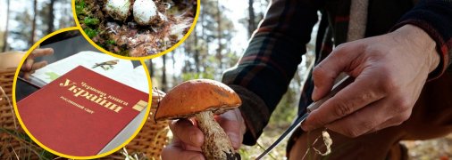 В лесах Украины нашли редкий гриб