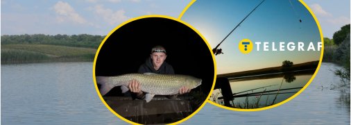 Коллаж "Телеграфа"