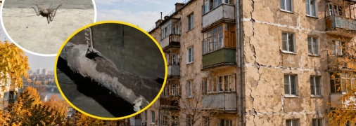 Вигляд вони мають не надійний