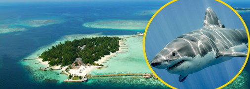 Схожа історія була минулого року, але на іншому відомому курорті