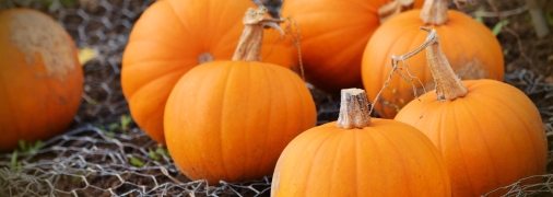 Вы будете поражены результатами