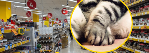 Мультимаркет "Аврора"