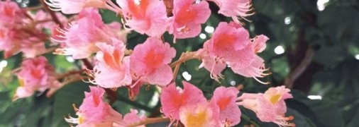 Дожди и грозы не хотят уходить: синоптики дали прогноз на 9 июня