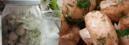 Маринованные шампиньоны