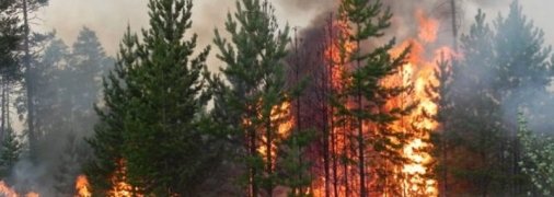 Рятувальники попереджають про надзвичайну пожежну небезпеку в ряді регіонів України: чого не можна робити