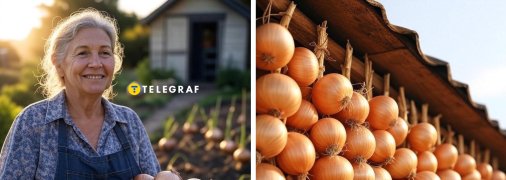 Не поспішайте обрізати цибулю і відправляти її на зберігання