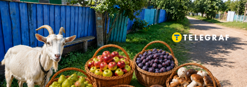 Село на Черниговщине