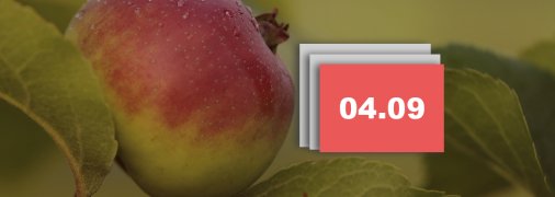 Что отмечают 4 сентября