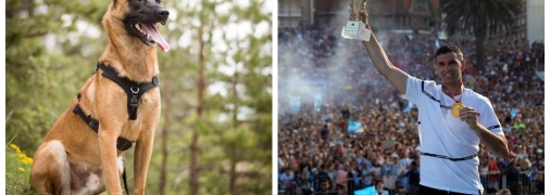 Герой ЧС-2022 купив собаку за 20 тисяч фунтів, щоб охороняла медаль