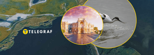 На "Тузловских лиманах" селится уникальная птица