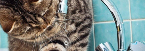 Отключение воды в Днепре