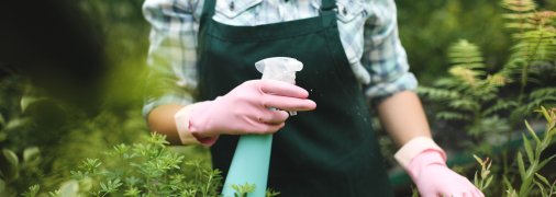 Проти шкідників допоможе саморобний засіб