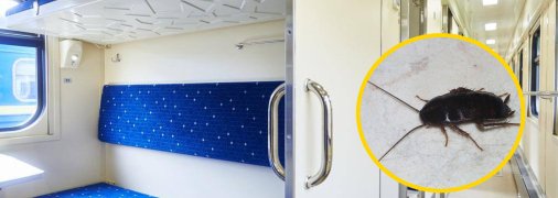 Таракана нашли в поезде Днепр-Львов