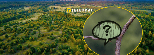 У Чорнобильському заповіднику живе підсоколик великий