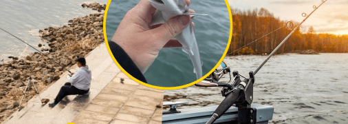 Рибалка нібито впіймав акулу в прісній воді