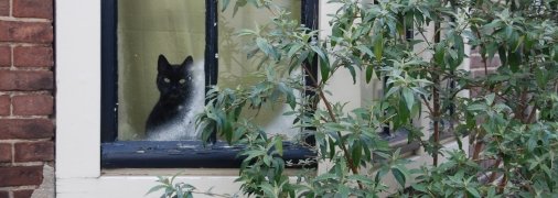 Вікна не повинні бути джерелом протягів