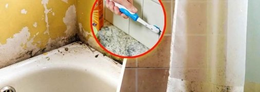 Поверхности ванной комнаты часто являются рассадником плесени