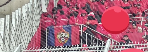 Польские фанаты решили поддержать российский клуб