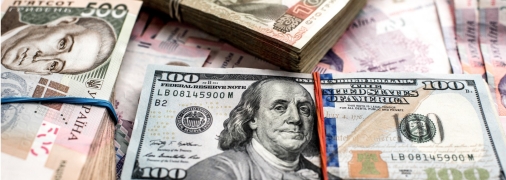 Особых скачков доллара пока не предвидится