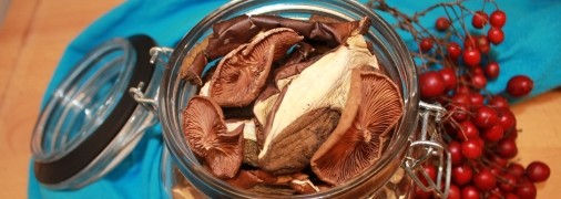 Сушеные грибы