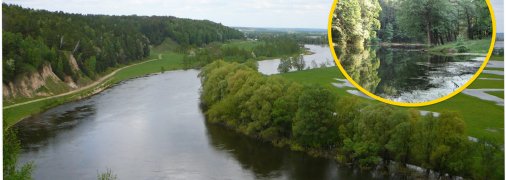 Мезинський парк