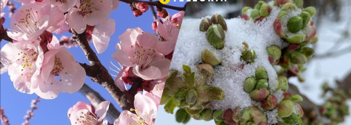 Апрельский снег