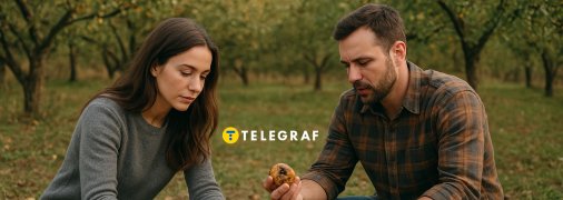 Гнилі яблука треба прибрати із саду