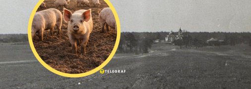 Село Свинарин