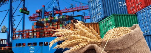 Експортні грузи зупинились