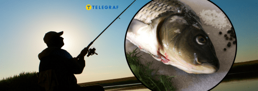 "Карпфишинг" может быть интересен