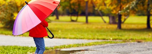 Ближайшие выходные не пройдут без дождей