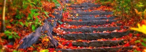 Тепло в октябре еще будет, но не во всех регионах