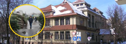 Продаж ялинок у Харкові