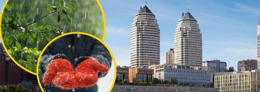 Днепрянам следует брать зонтики и одевать зимние вещи