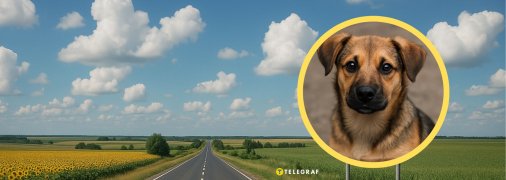 Дорога в Україні