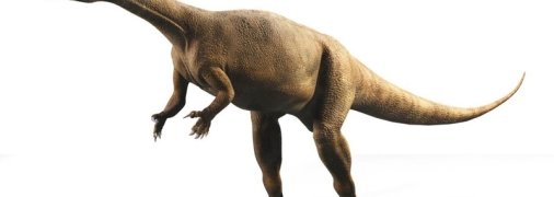 Росли как деревья: ученые открыли новый, необычный вид динозавров