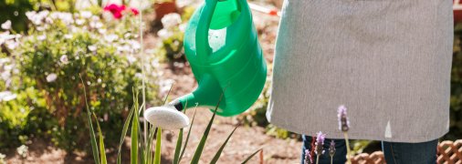 Всі рослини потребують поливів