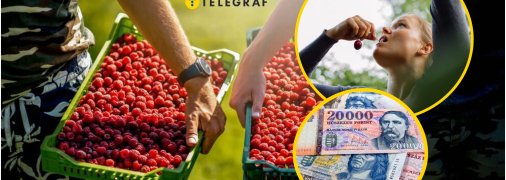 Надо будет работать на поле