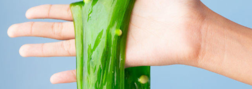 Слаймы опасны для здоровья детей: результаты исследований 