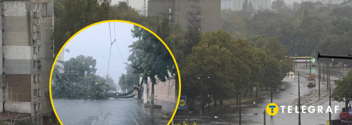 Стихія повалила дерева