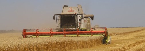 Поставки зерна с Украины оказались под угрозой