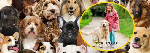 Породи собак