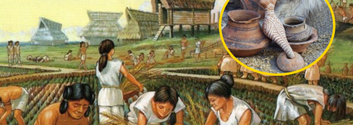 Трипольская культура