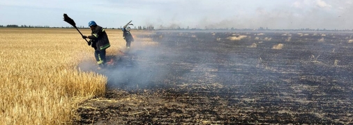 Кроме того, россияне еще и обстреливают урожай.